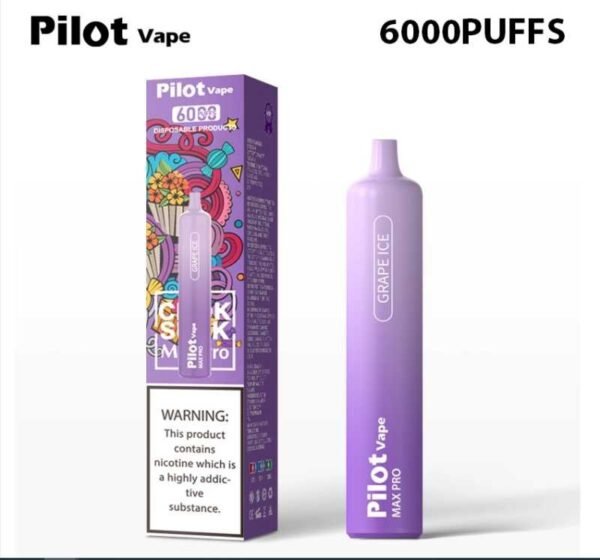 Pilot vape6000puffs 飛行員拋棄式電子煙官網：圖片 2