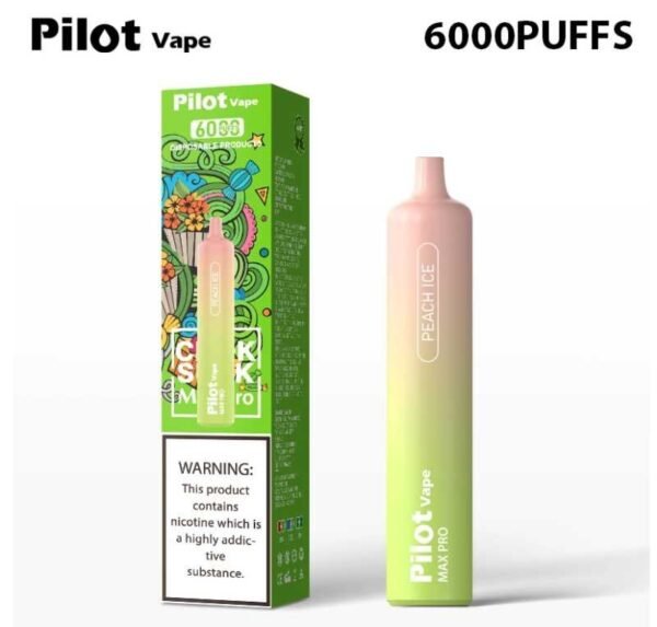 Pilot vape6000puffs 飛行員拋棄式電子煙官網：圖片 7