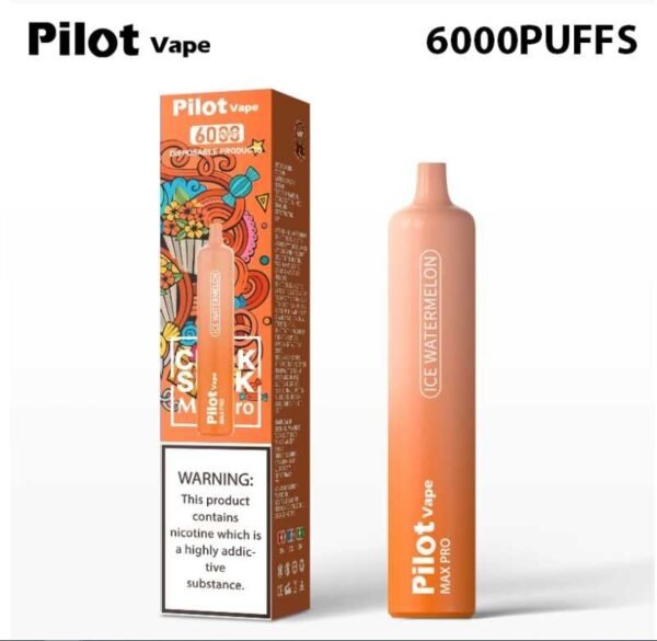 Pilot vape6000puffs 飛行員拋棄式電子煙官網：圖片 8