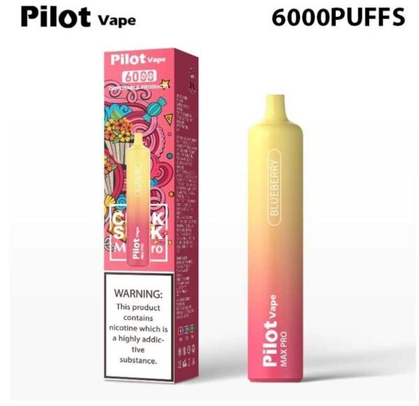 Pilot vape6000puffs 飛行員拋棄式電子煙官網：圖片 10
